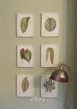 OKA Set of Exotic Leaf Framed Prints