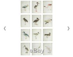 OKA bird Prints Set Of 12