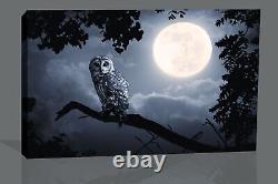 OWL ILLUMINATED BY FULL MOON Canvas Wall Art Picture Print