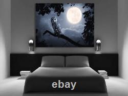 OWL ILLUMINATED BY FULL MOON Canvas Wall Art Picture Print