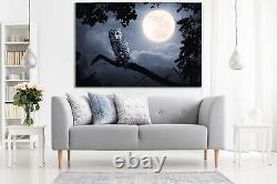 OWL ILLUMINATED BY FULL MOON Canvas Wall Art Picture Print