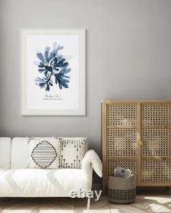 Ocean DULSE SEAWEED Interior Art Print Coastal Wall Poster