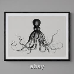 Octopus Black and White Vintage Illustration Poster Art Print