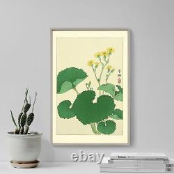 Ohara Koson Ligularia Leopard Plants (1930) Painting Poster Print Art Gift