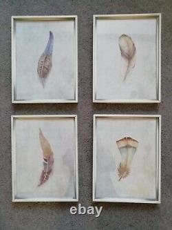 Oka Beautiful set of 4 Feather Prints in iron frames