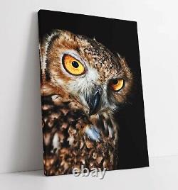 Owl 2 Large Canvas Wall Art Float Effect/frame/picture/poster Print- Yellow