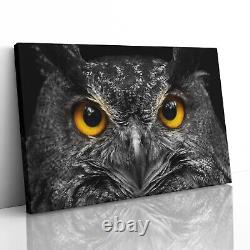 Owl Staring Cute Canvas Print Picture Framed Wall Art Poster Paper Close Up