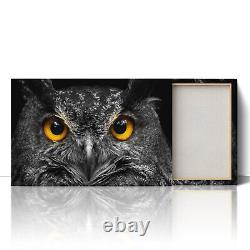 Owl Staring Cute Canvas Print Picture Framed Wall Art Poster Paper Close Up