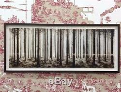 PEJAC LINEA Ed 200 Print from the sold out edition