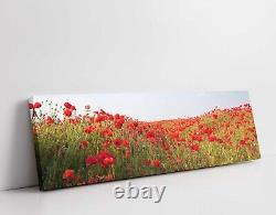 Poppy field. Panoramic framed canvas picture print