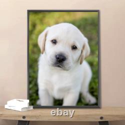 Poster Print Photo Print Baby Frame Photo Gloss Matt A3 A4 A5 Family Pet Art