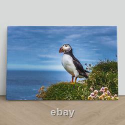 Puffins on Latrabjarg Cliffs Canvas Print Picture Framed Wall Art Paper Iceland