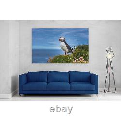 Puffins on Latrabjarg Cliffs Canvas Print Picture Framed Wall Art Paper Iceland