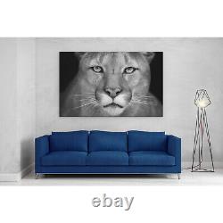 Puma Wild Cat Canvas Print Picture Framed Wall Art Poster Paper Staring Cougar