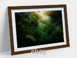 Rainforest 1 Canvas Wall Art Float Effect/frame/picture/poster Print- Green