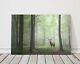 Red Deer Stag In Lush Green Forest Canvas Picture Print Foggy Trees