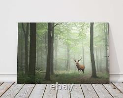 Red deer stag in Lush green forest canvas picture print foggy trees