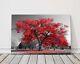Red Tree Black And White Background Canvas Picture Print Landscape Autumn