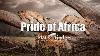 Revisiting The Pride Of Africa Collection In Kenya Wildlife Photography