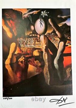 Salvador Dali Print, Metamorphosis of Narcissus, Original Hand Signed & COA