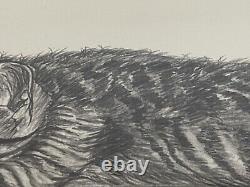 Signed Mounted Gilt Framed Pencil Sketch Kitten 50cm x 33cm
