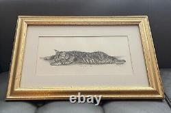 Signed Mounted Gilt Framed Pencil Sketch Kitten 50cm x 33cm