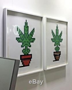 Space Invader Hollyweed Screen Print Edition X/100 Red & Brown Set Complexcon