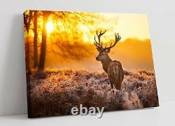 Stag 5 Large Canvas Wall Art Float Effect/frame/picture/poster Print- Yellow