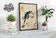 Sumo Frog & Fish Poster, Vintage Art Exhibition Print, Framed A6 A5 A4 A3 A2 A1