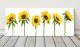 Sunflowers Panoramic White Yellow Garden Canvas Print Framed Picture