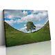 Sycamore Gap Hadrians Wall Northumberland Canvas Print Picture Framed Wall Art