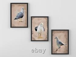 Three seagull paintings, coastal art, bird print, triptych, Seaside artwork