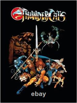 Thundercats Classic Kids TV Large CANVAS Art Print Gift A0 A1 A2 A3 A4