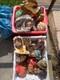 Trio Vintage Bossons Chalkware Heads 1959 Joblot 40/50 Different Pieces