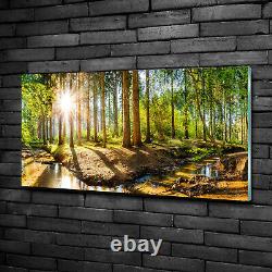 Tulup Acrylic Glass Print Wall Art Image 100x50cm Panorama of the forest