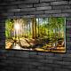 Tulup Acrylic Glass Print Wall Art Image 100x50cm Panorama Of The Forest