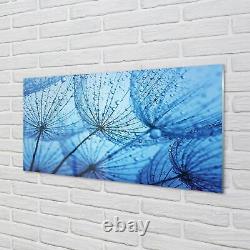 Tulup Glass Print 120x60 Wall Art Picture Drops macro dandelions