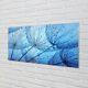 Tulup Glass Print 120x60 Wall Art Picture Drops Macro Dandelions