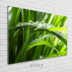 Tulup Glass Print Wall Art Image Picture 100x70cm Drops on the grass