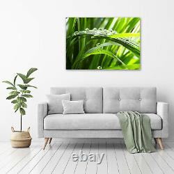 Tulup Glass Print Wall Art Image Picture 100x70cm Drops on the grass