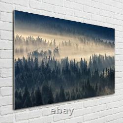 Tulup Glass Print Wall Art Image Picture 100x70cm Fog over the forest