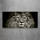 Tulup Glass Print Wall Art Image Picture 120x60cm Lion