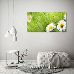 Tulup Glass Print Wall Art Image Picture 120x60cm daisies