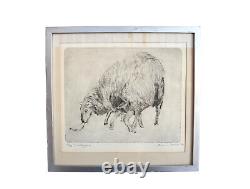 Vintage Original Print On Paper, Sheep And Lamb Signed 1986