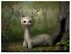 Wow! Mark Ryden Yoshi Numbered Edition Litho Poster Signed Tree Show