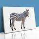Zebra Staring Close Up Canvas Print Picture Framed Wall Art Poster Lone Figure