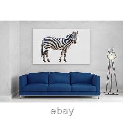 Zebra Staring Close Up Canvas Print Picture Framed Wall Art Poster Lone Figure