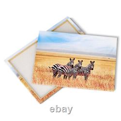 Zebras in Tanzania Canvas Print Picture Framed Wall Art Poster Africa Savannah