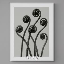 Affiche d'art photographique en noir et blanc vintage de fougère Adiantum