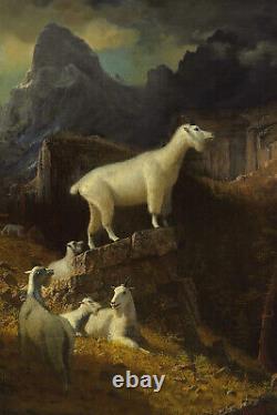 Albert Bierstadt Chèvres Des Montagnes Rocheuses (1885) Affiche D'art Tirage Cadeau De Peinture